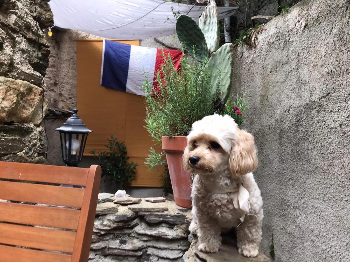Gites Chez Daniel "Cevennes 2" Mars  المظهر الخارجي الصورة